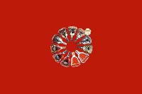 矿区回收红酒